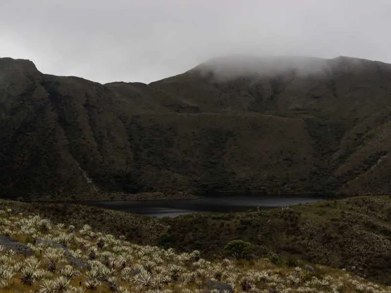 paramo2
