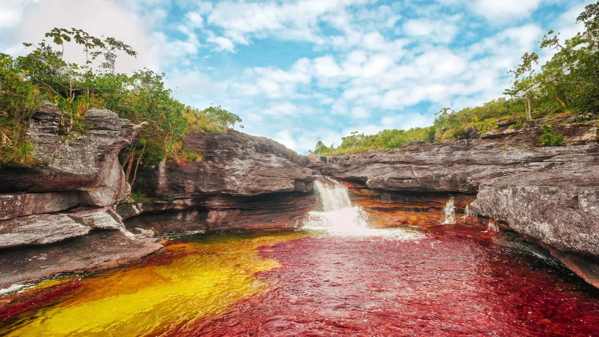 caño cristales sierra de la macarena amazonia