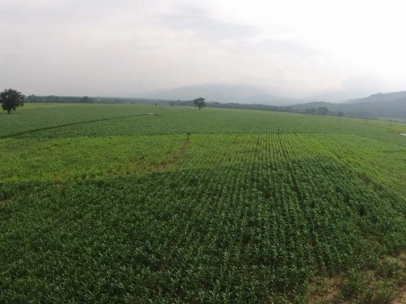 llanos orientales